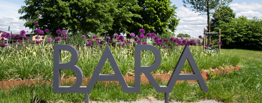 Bildresultat för bara ett arbete